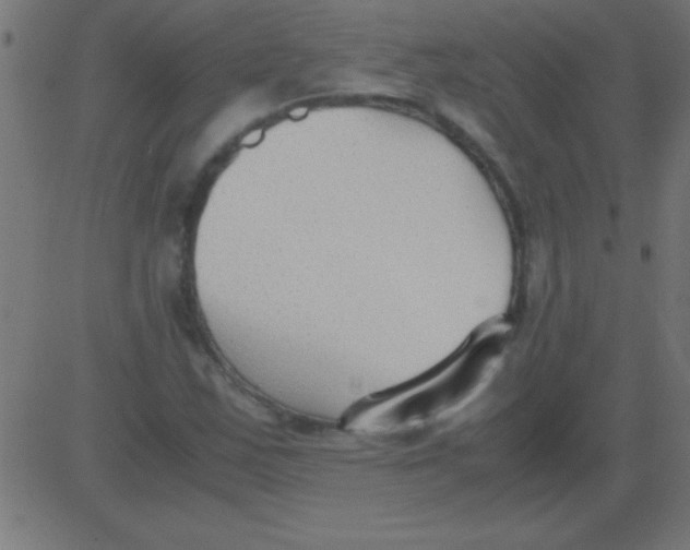 X0000081311163200702012327