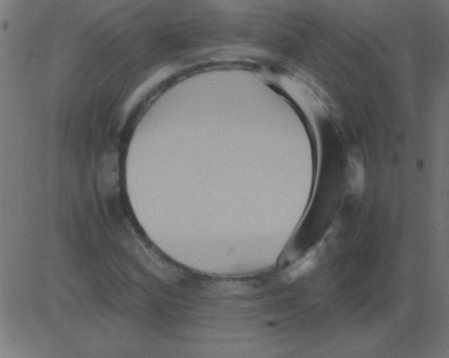 X0000081311164200702012327