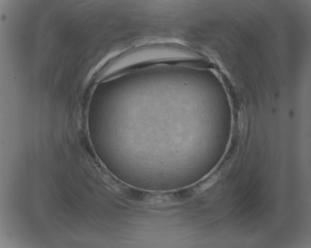 X0000081311165200702012327