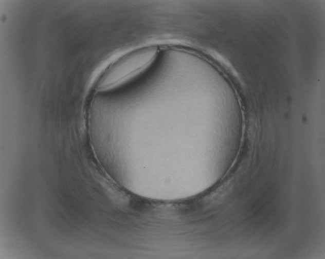 X0000081311167200702012327