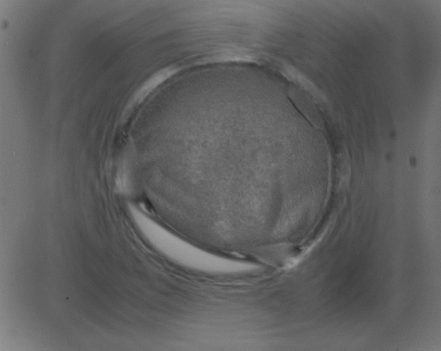 X0000081311169200702012327