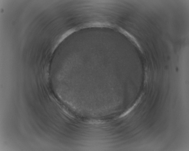 X0000081311170200702012327