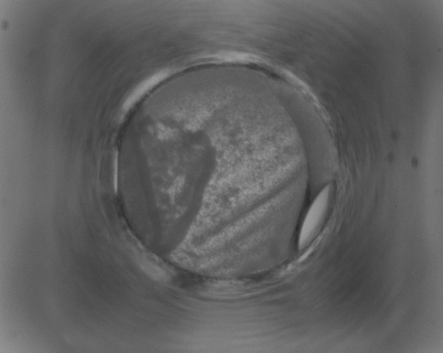 X0000081311171200702012327