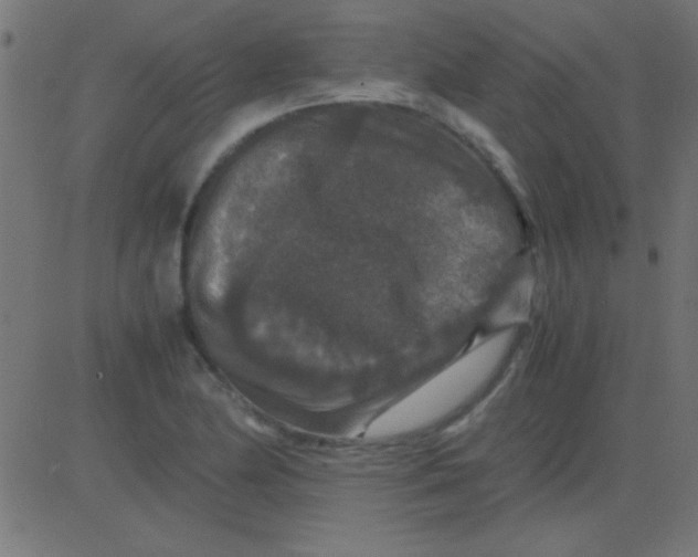 X0000081311174200702012327