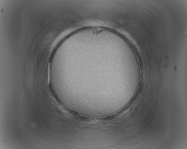 X0000081311175200702012327