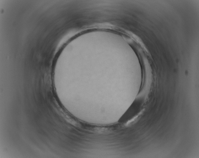 X0000081311176200702012327