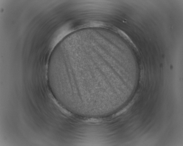 X0000081311178200702012327