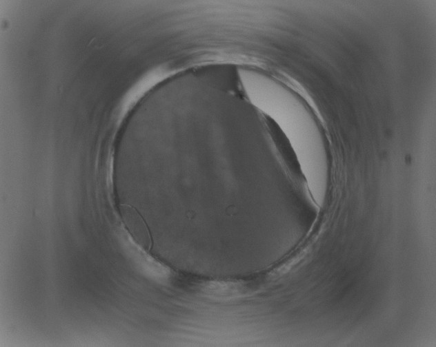 X0000081311179200702012327