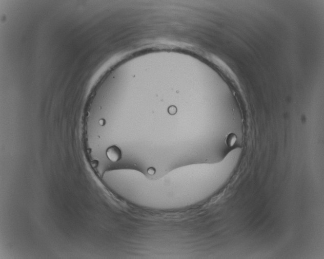 X0000081311183200702012327