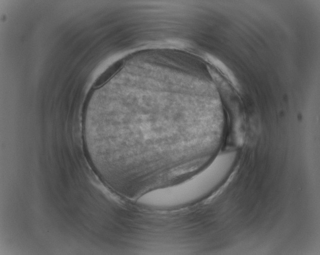 X0000081311184200702012327