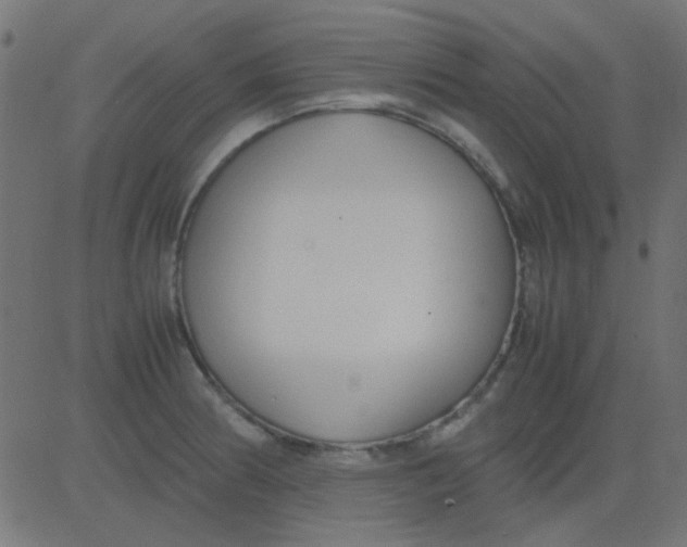 X0000081311186200702012327