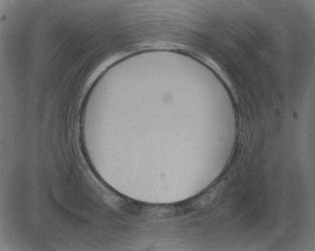 X0000081311187200702012327