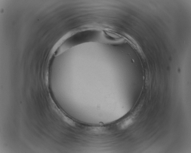 X0000081311188200702012327