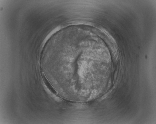 X0000081311189200702012326