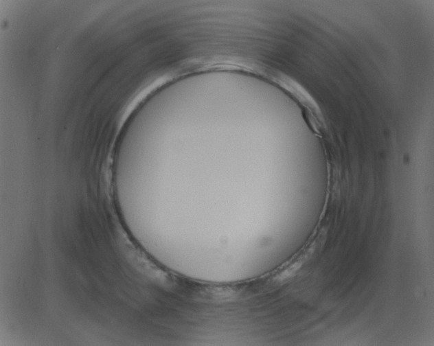 X0000081311190200702012326