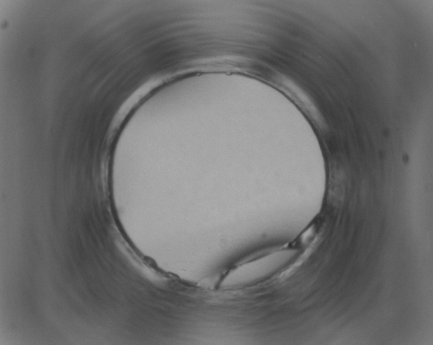 X0000081311196200702012326