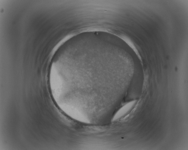 X0000081311197200702012326