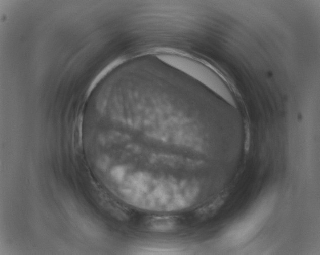 X0000081311198200702012326