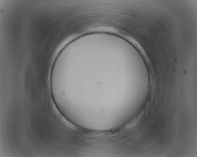 X0000081311199200702012326