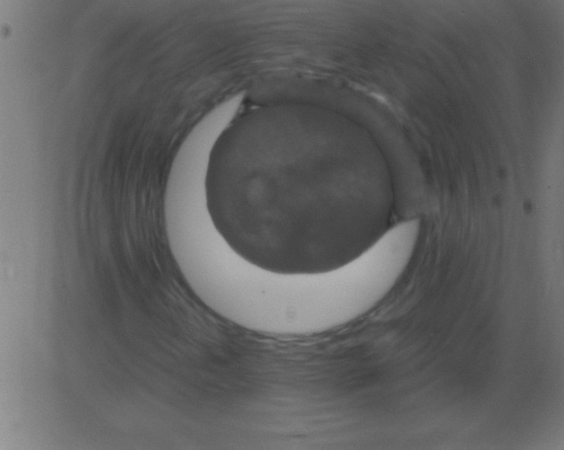 X0000081311202200702012326