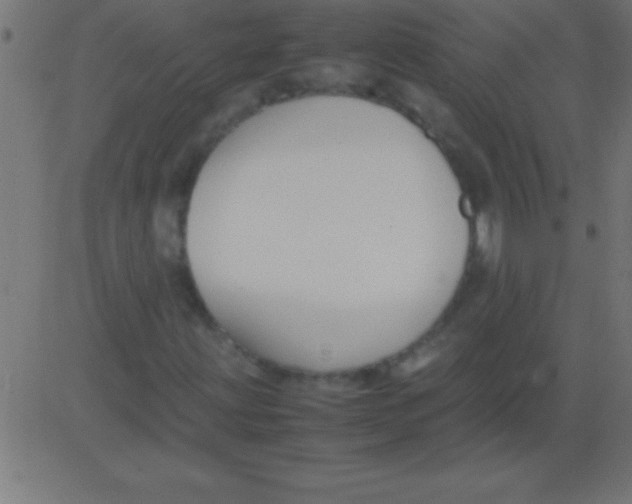 X0000081311203200702012326