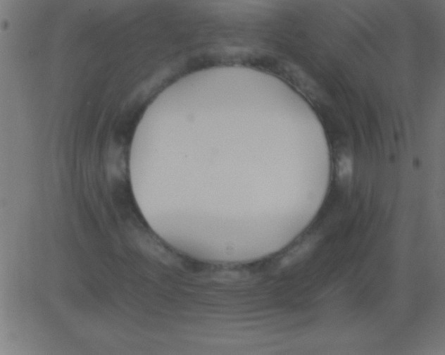 X0000081311204200702012326