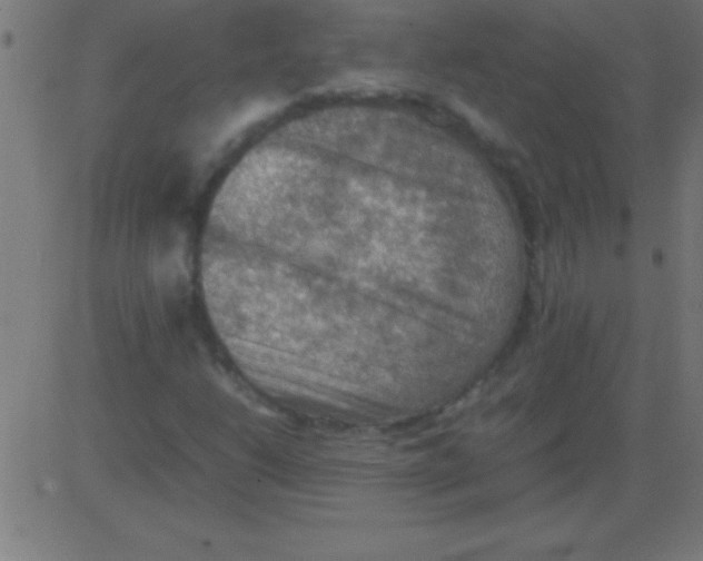 X0000081311206200702012326