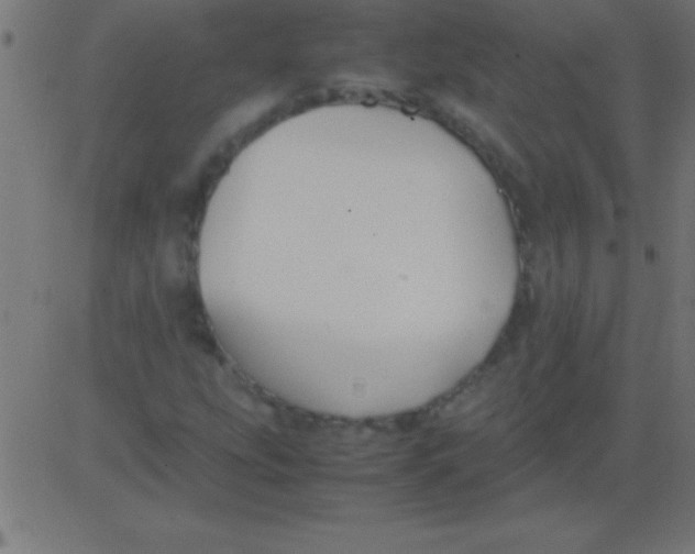 X0000081311207200702012326