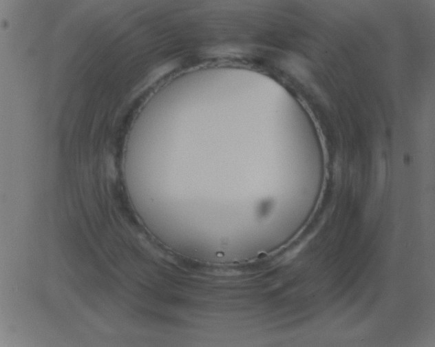 X0000081311209200702012326