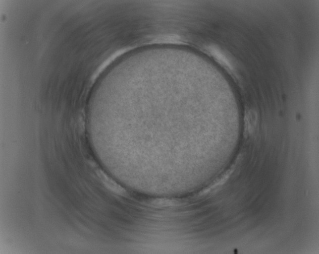 X0000081311212200702012326