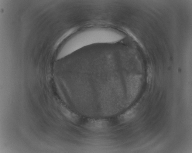 X0000081311213200702012326