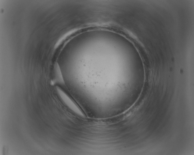 X0000081311214200702012326