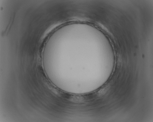 X0000081311215200702012326