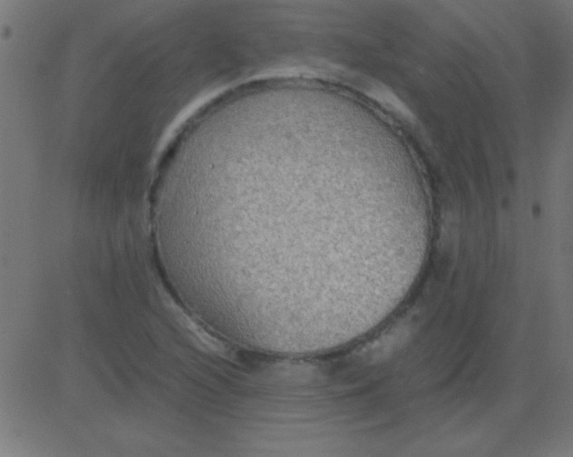 X0000081311216200702012326