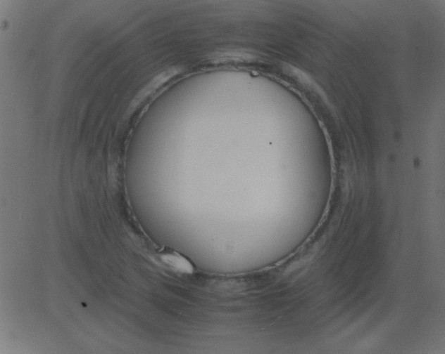 X0000081311217200702012326