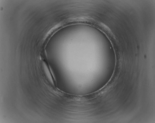 X0000081311218200702012326