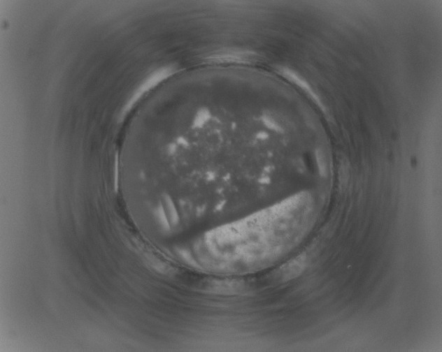 X0000081311219200702012326