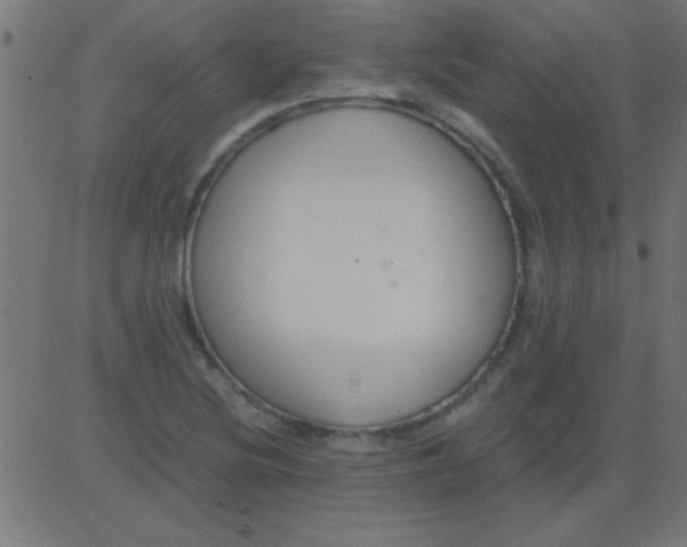 X0000081311220200702012326