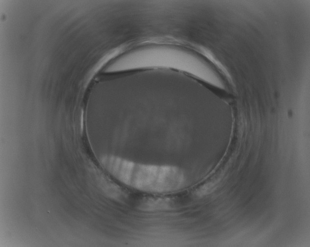 X0000081311221200702012326