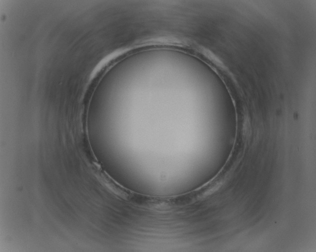 X0000081311222200702012326