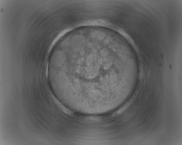 X0000081311224200702012326