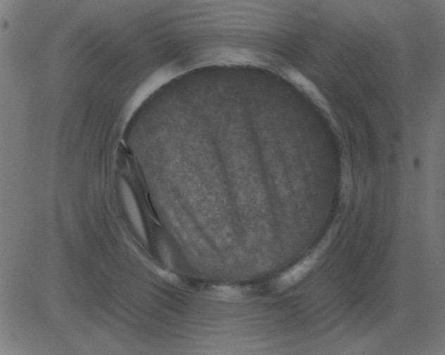 X0000081311226200702012326