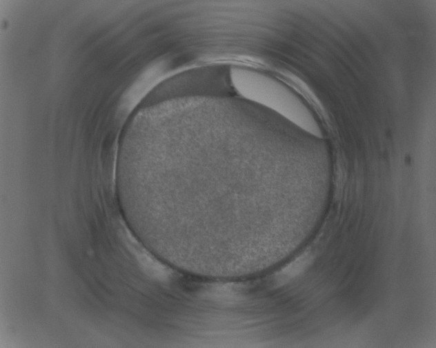 X0000081311228200702012326