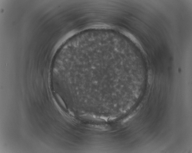 X0000081311229200702012326