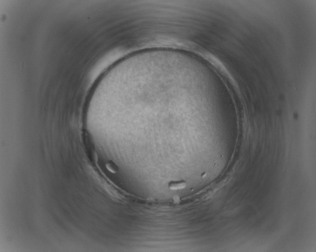 X0000081311230200702012326