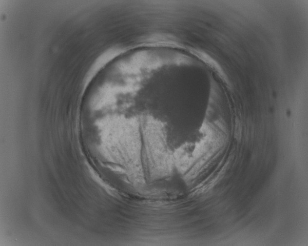 X0000081311231200702012326