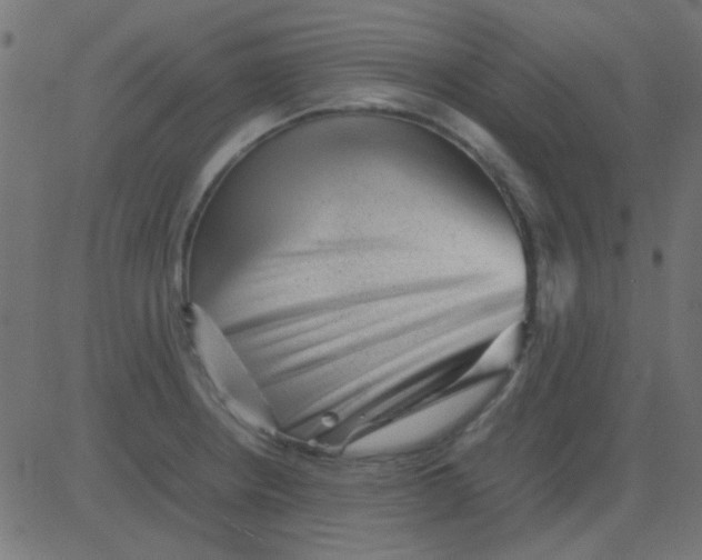 X0000081311234200702012326