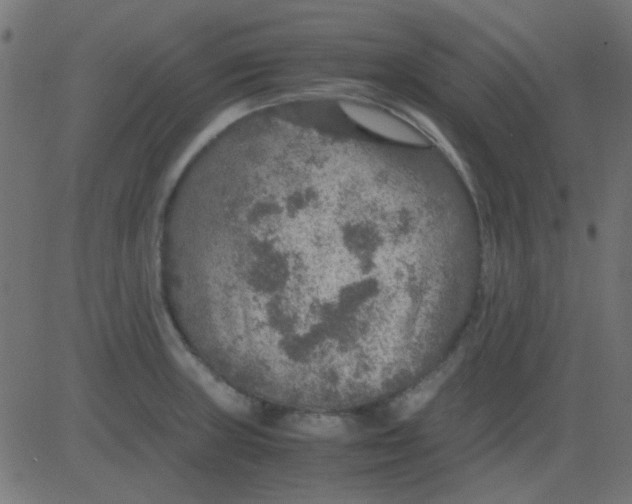 X0000081311235200702012326