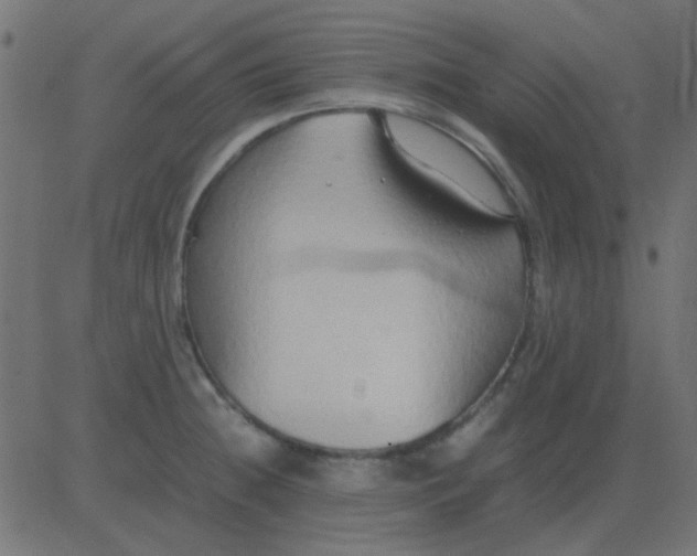 X0000081311236200702012326