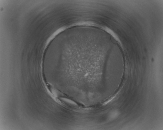 X0000081311237200702012326